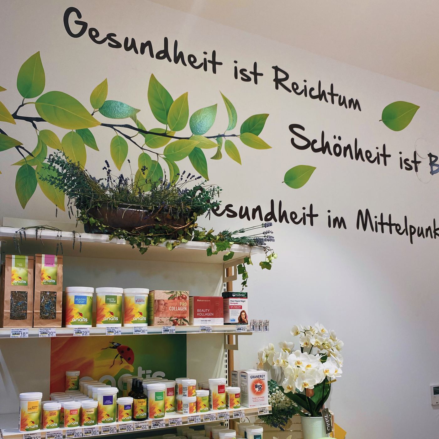 Wand mit den Schriftzügen „Gesundheit ist Reichtum“ und „Schönheit ist Balance“